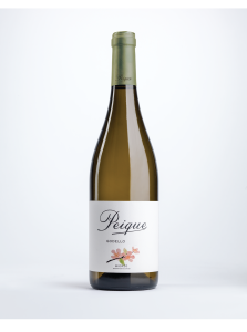 vinos del bierzo