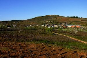 El Bierzo en primavera | Bodegas Peique